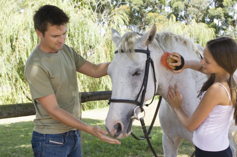 83253785 general horse care guidelines scaled