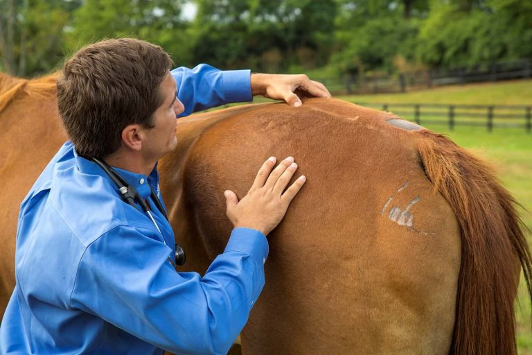 examining back