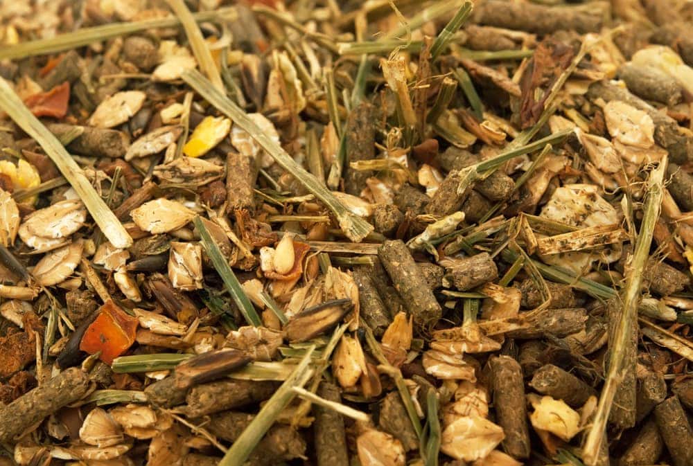 مکمل ها و تغذیه, اسب رویال: بازار اسب ایران