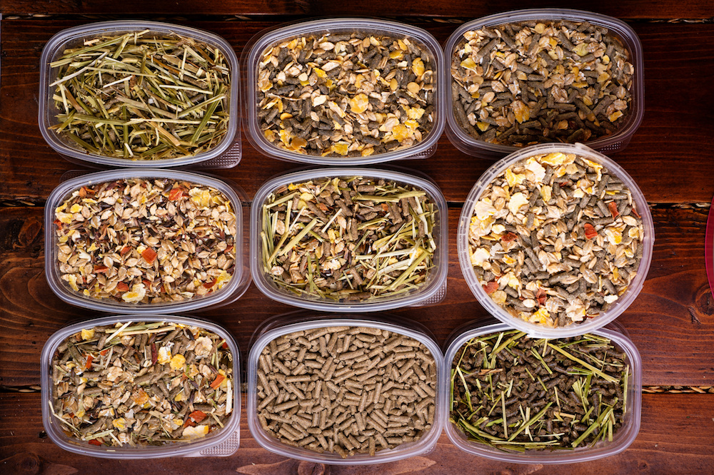 , اسب رویال: بازار اسب ایران