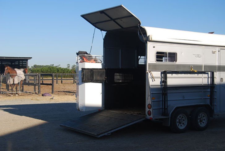 حمل و نقل اسب, اسب رویال: بازار اسب ایران