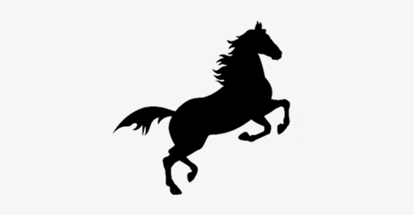 درباره ی ما, اسب رویال: بازار اسب ایران